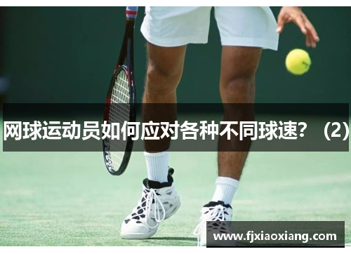 网球运动员如何应对各种不同球速？ (2)
